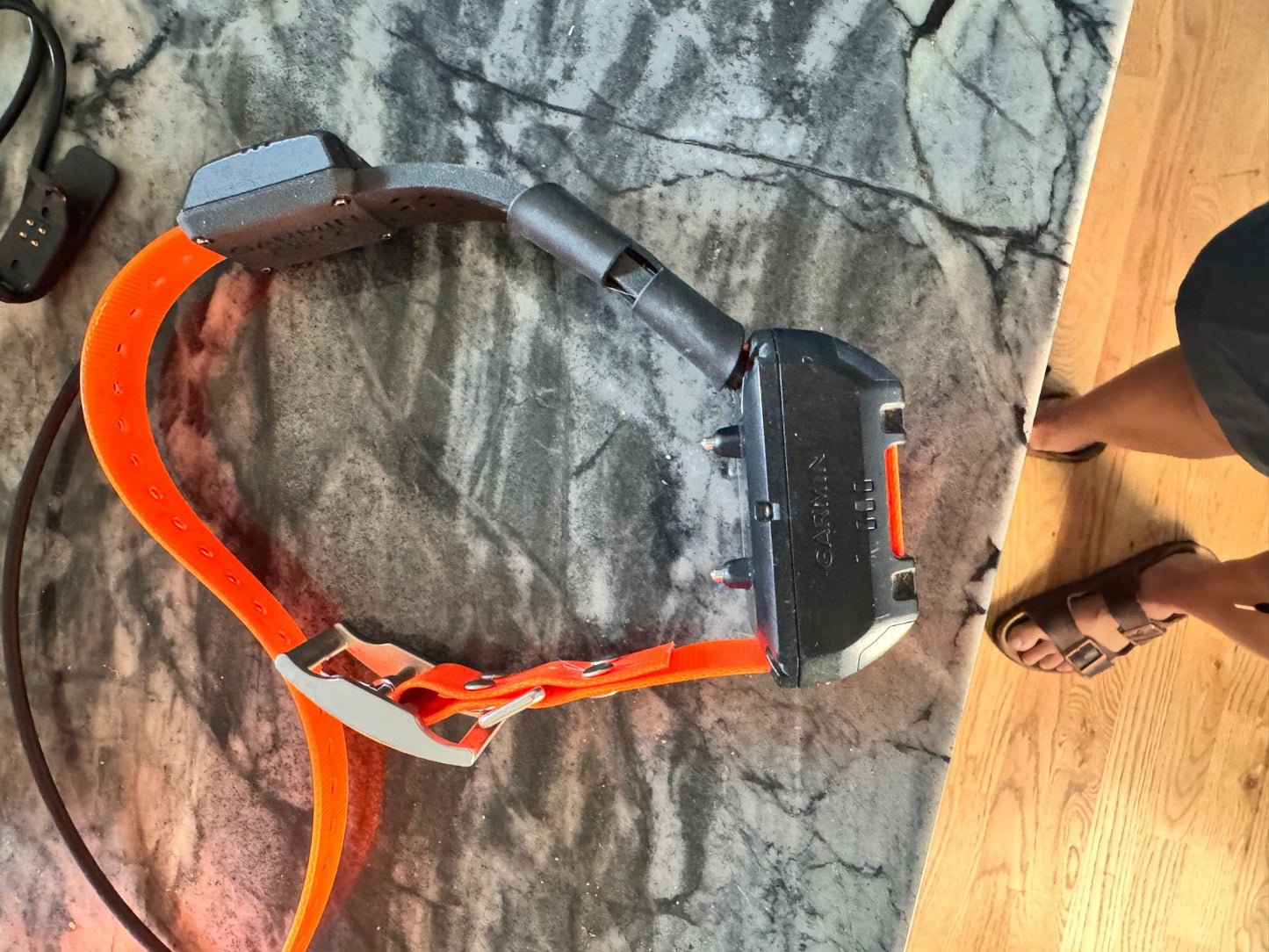 Hunting Collar Bundle Garmin Alpha10 Handheld GPS & TT 25 Collar (010-02290-50)
